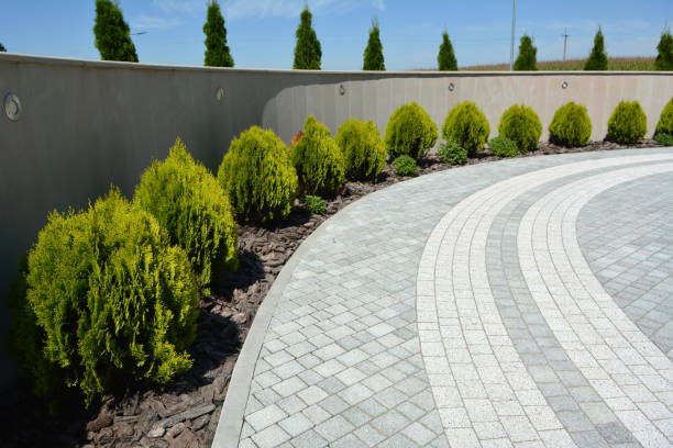 Best Driveway Paver Repair  in Omaha, TX